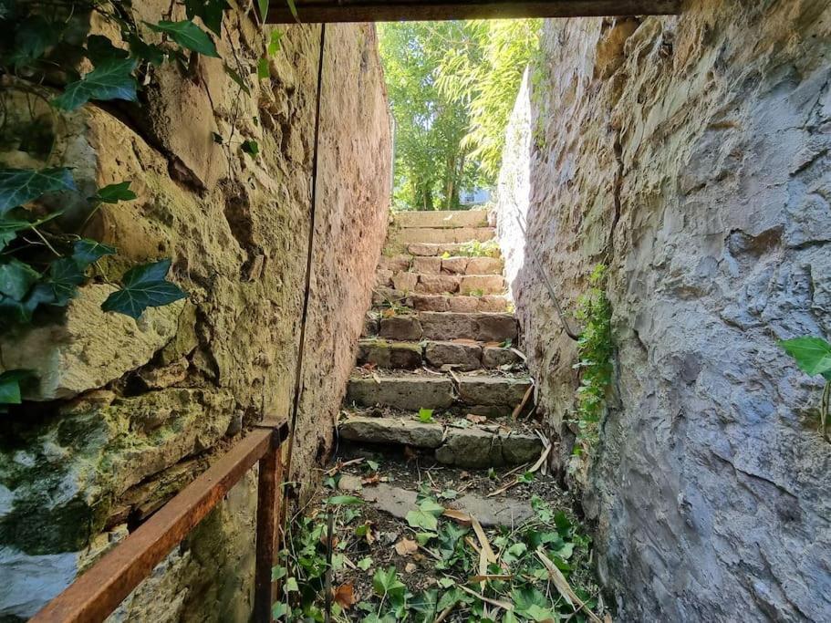 Elegance Provinoise Aux Pieds Des Remparts Classe Provins Exteriér fotografie